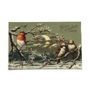 Antica cartolina postale in rilievo con uccello – Scena invernale e neve al chiaro di luna – Effimere francesi – Primi anni del 1900