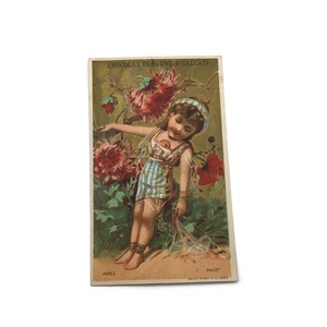 Antike französische Handelskarte – Mädchen unter Mohnblumen im gestreiften Kleid – Blumendruck des 19