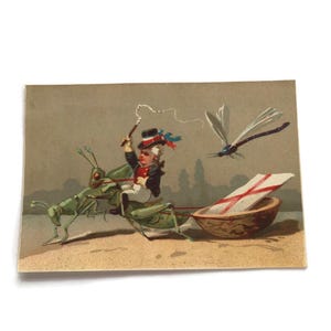 Tarjeta cromográfica francesa antigua: Carro de saltamontes con jinete y libélula, hacia 1890
