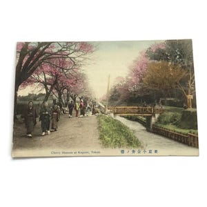 Antica cartolina giapponese – Fiori di ciliegio a Koganei, Tokyo – Colorata a mano