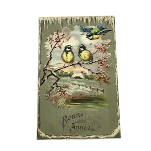 Ancienne carte postale de Bonne Année, France - Oiseaux d'hiver en relief et paysage pittoresque - Début des années 1900