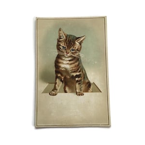 Carte ancienne de chat tigré – chaton avec lithographie victorienne du XIXe siècle – animaux éphémères de charme