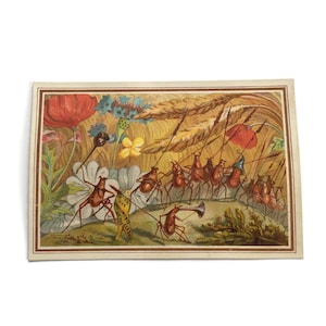 Victoriaanse insectenmarskaart – antieke insectenparade-chromatografie – grillige fantasy-natuurkunst ca. jaren 1890