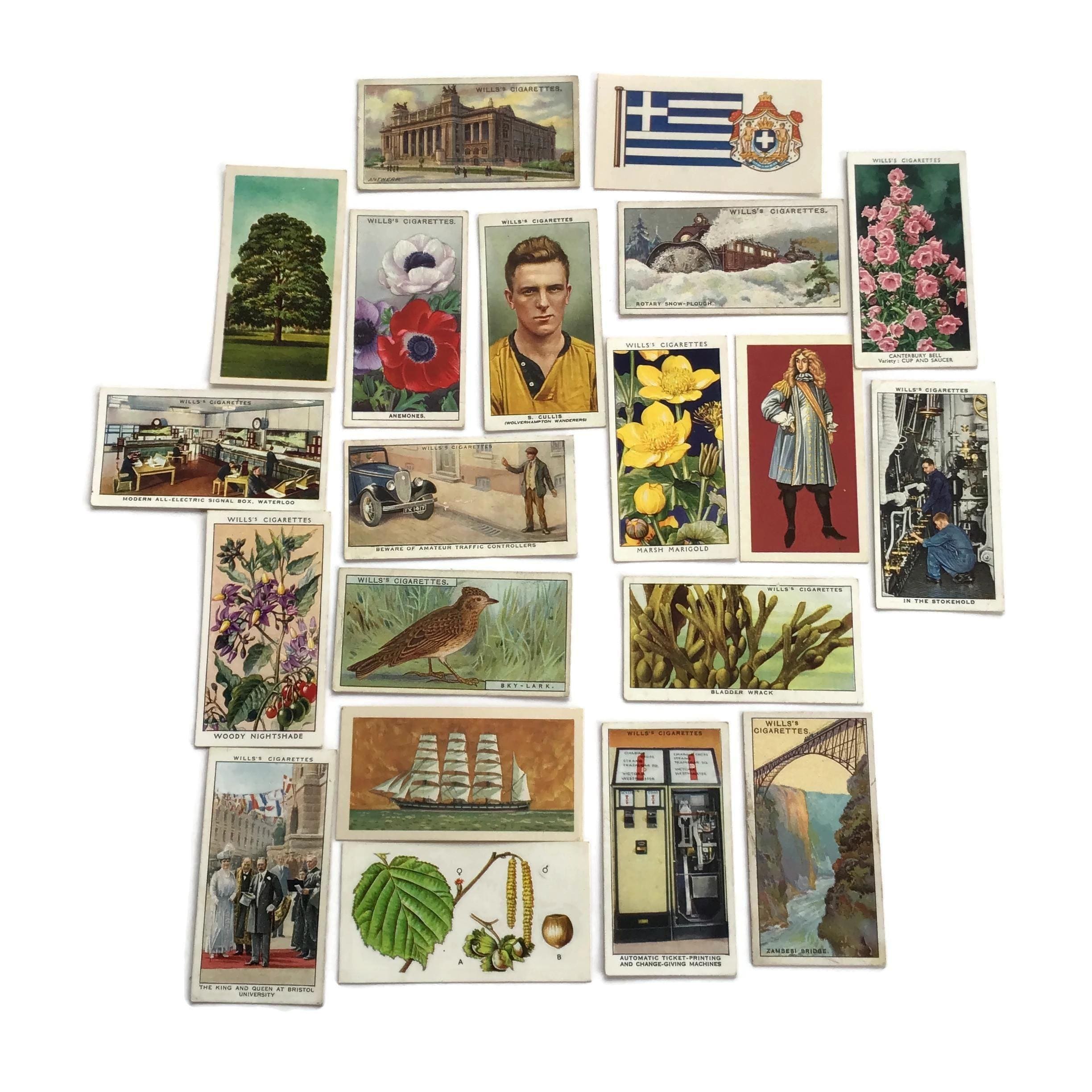 Rare Wills Cigarette Cards - Complete Set of 20 Vintage 1930s Illustrated  Subjects