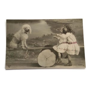 Vintage Postkarte Mädchen auf Wippe mit Hund – Kindermotiv & Pudel – 1900s Fotokarton