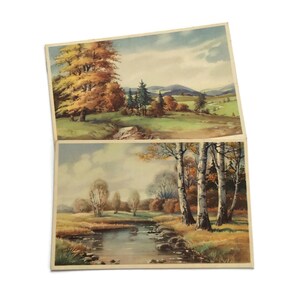 Coppia di cartoline di paesaggi autunnali – Vedute panoramiche stampate belghe d'epoca – Alberi, fiume e dolci colline