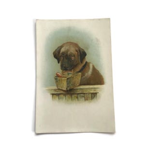 Antike Mastiff-Hund-Handelskarte - 19.Jahrhundert Chromolithographie mit Wurstkorb - viktorianisches Tier-Ephemera