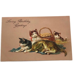 Antica cartolina con gatto in rilievo – Auguri di compleanno affettuosi con gattini e cestino, Germania circa anni '10