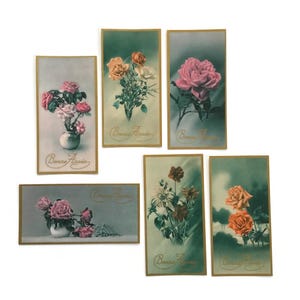 Set van 6 vintage Franse bloemenkaarten – Bonne Année Rose Prints – Roze en oranje bloemenillustraties – Antiek ephemera van het nieuwe jaar