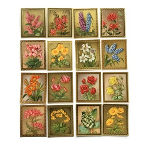 Cartes de voeux florales vintage - Lithographies couleur de fleurs botaniques - Fleurs éphémères des années 1950 - Lot de ferraille rétro