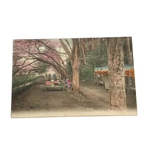 Antica cartolina giapponese - Santuario Kasuga, Nara - Vista del santuario storico