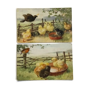 Cartoline antiche di Tuck – Pulcini, uccelli, animali da fattoria, set illustrato di 2