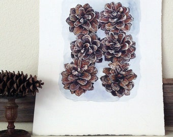 Pine Cones Painting- 12x16- Original Watercolor- Botanical Painting- Brown, White, Blue