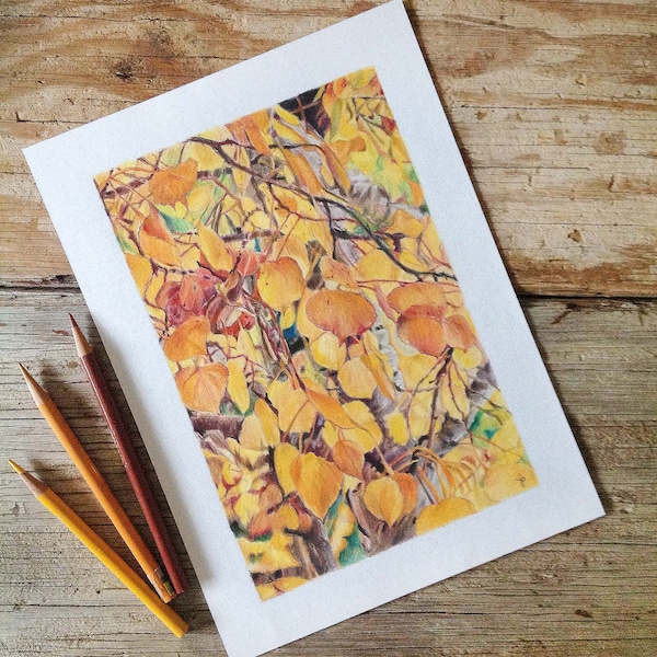 Yellow Leaves Drawing- 6x9- Fall Leaves- Aspen Leaves- Colored Pencil- Original Fine Art