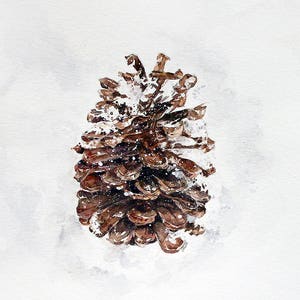 Pine Cone Print- Watercolor Painting- 7x10- Brown Cone, White Snow- Wall Art