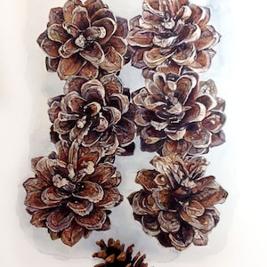 Pine Cones Painting- 12x16- Original Watercolor- Farmhouse Wall Art- Brown, White, Blue