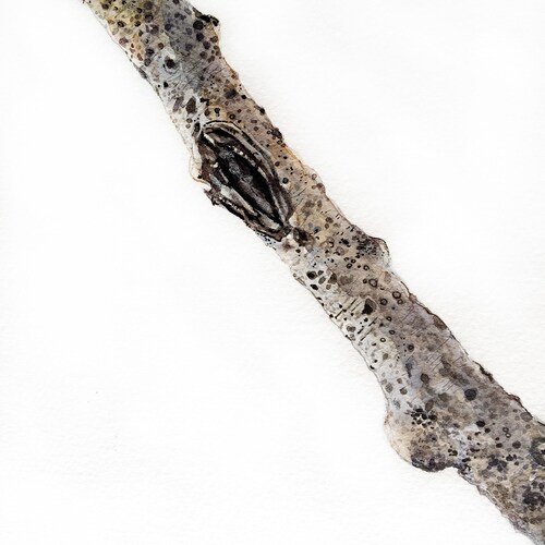 Aspen Watercolor- shops 18x24- Tree Branch- Original Painting- Wall Art- Brown, White