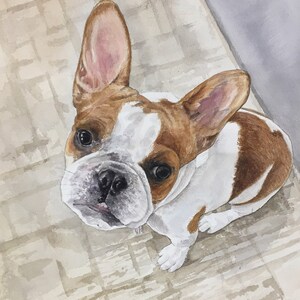 Custom Pet Portrait- Choose Size- Realistic Style- Watercolor Painting- Custom Gift