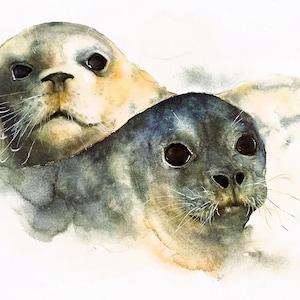 Wenskaart van origineel aquarelschilderij; 'Blakeney Seals' van Jennie Picton