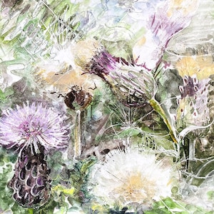 Wenskaart van origineel aquarelschilderij; 'Egeldistels', door Jennie Picton