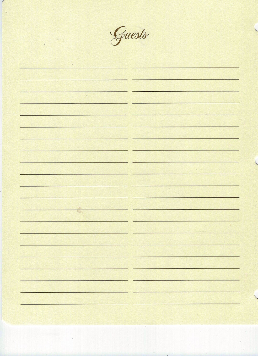 GUEST PAGES, BLANK, Lot of 17 Blank Guest Book Pages Etsy