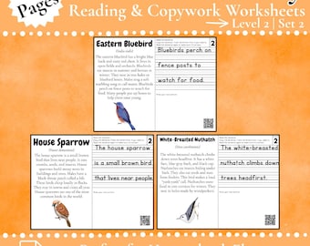 Pacchetto di lettura e copia di studio della natura sugli uccelli da cortile L2 / 25 schede di lavoro di saggistica / Istruzione parentale / Scienza / Scrittura / Apprendimento precoce / PDF /