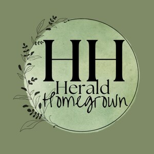 Op de afbeelding: Een logo met de letters "HH" in zwart, met "Herald Homegrown" eronder. Het ontwerp is geplaatst op een lichtgroene aquarel cirkel, met bladachtige botanische elementen rond de cirkel aan de linkerkant.
