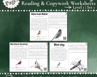 L1 Achtertuin Vogels Natuurstudie Lezen en kopiëren | 25 non-fictie werkbladen met vogelfeiten | Thuisonderwijs | Wetenschap | Schrijven | Vroeg leren |