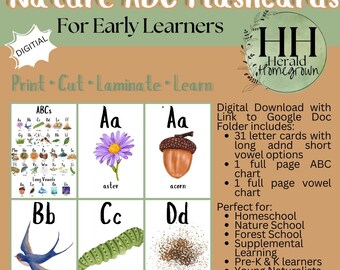 Schede didattiche ABC sulla natura / Scuola materna per bambini in età prescolare, scuola materna, apprendimento, istruzione, all'aperto, bosco, Charlotte Mason, decorazione per l'aula