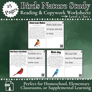 L2 Backyard Birds Nature Study Reading & Copywork Pack | Elementary Worksheets | Homeschool | Science | Writing | PDF | Early Learning