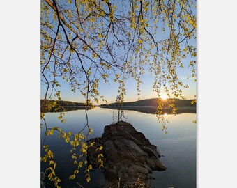 Saimaa Sunset Print | Finnish Lake Wall Art | Birch Tree Landscape Poster