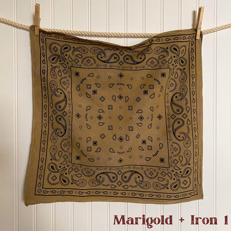 Desert Gold Classic Print Naturally Dyed Bandana main image 0