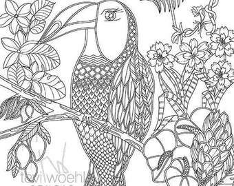 Toucan Coloring Etsy