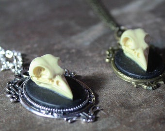 gothic bird skull cameo necklace, steampunk, noir, taxidermy