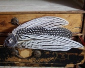 white wings steampunk hair clip with pheasant feathers and silver metal motif