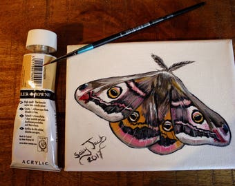 moth painting, original small acrylic on canvas insect lowbrow art
