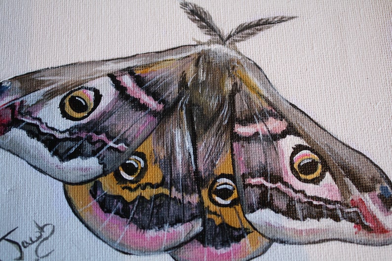 The Art Of Capturing Beauty