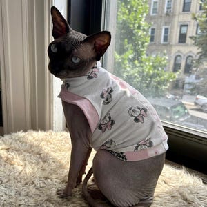 Minnie sphynx shirt, sphynx cat clothes, cat clothes, sphynx sweater, sphynx clothes, hairless cat clothes, cute sphynx shirt