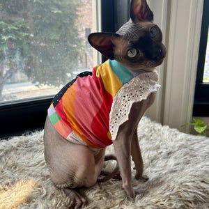 Handmade patchwork sphynx shirt, sphynx cat clothes, cat clothes, sphynx sweater, sphynx clothes, hairless cat clothes, cute sphynx shirt