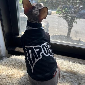 Tapout sphynx shirt, sphynx cat clothes, cat clothes, sphynx sweater, sphynx clothes, hairless cat clothes, cool sphynx shirt