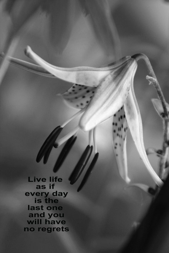 Digital Download Inspirational Quote Tiger Lily Flower Etsy