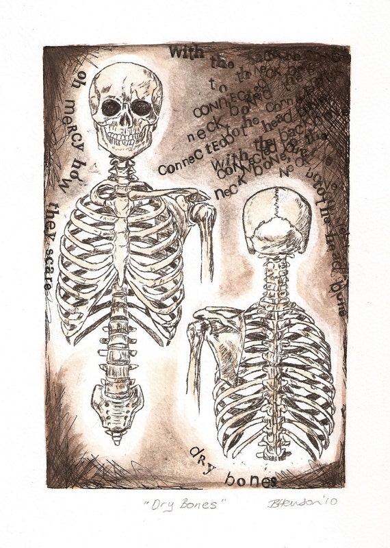 Anatomy Art Dry Bones Skeleton drawing The neck bone is | Etsy