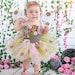 see more listings in the Tutus and Outfits section