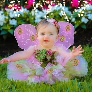 Puede incluir: Una ni&ntilde;a peque&ntilde;a vestida con un disfraz de hada rosa y verde con alas de mariposa. Est&aacute; sentada en una zona cubierta de hierba con un fondo borroso de flores.