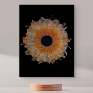 Custom Premium Acrylic Print | Iris Particles Flow from Your Photo | Art Decor | Unique Digital Artwork | Couple Gift | Family Gift