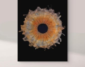 Custom Premium Acrylic Print | Iris Particles Flow from Your Photo | Art Decor | Unique Digital Artwork | Couple Gift | Family Gift