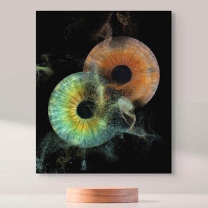Custom Acrylic Print | Iris Particles Flow from Your Photo | Art Decor | Unique Digital Artwork | Couple Gift | Family Gift
