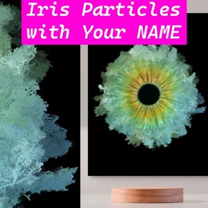 Custom Premium Acrylic Print | Iris Particles Flow from Your Photo and Name | Art Decor | Unique Digital Artwork | Couple Gift | Family Gift