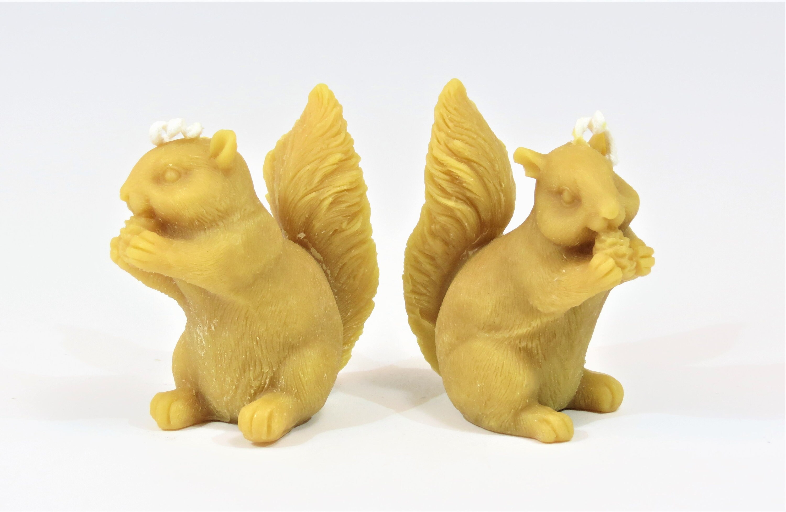 Two Beeswax Squirrel Candles Wildlife Candles Squirrel Eating Etsy