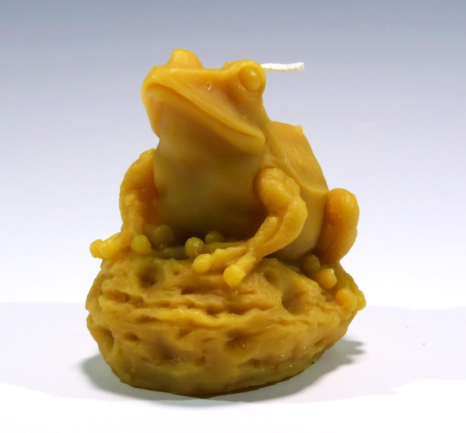 Beeswax Candle Bull Frog Frog Candle Reptile Candle Honey Etsy